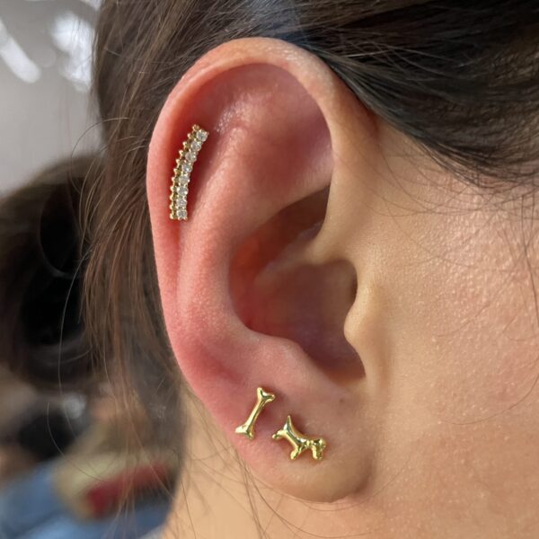 Bar conch