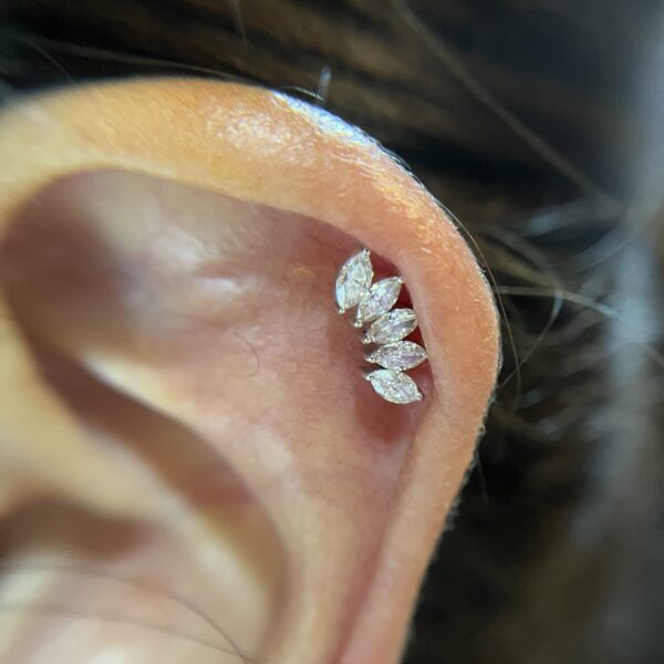 Crown marquise