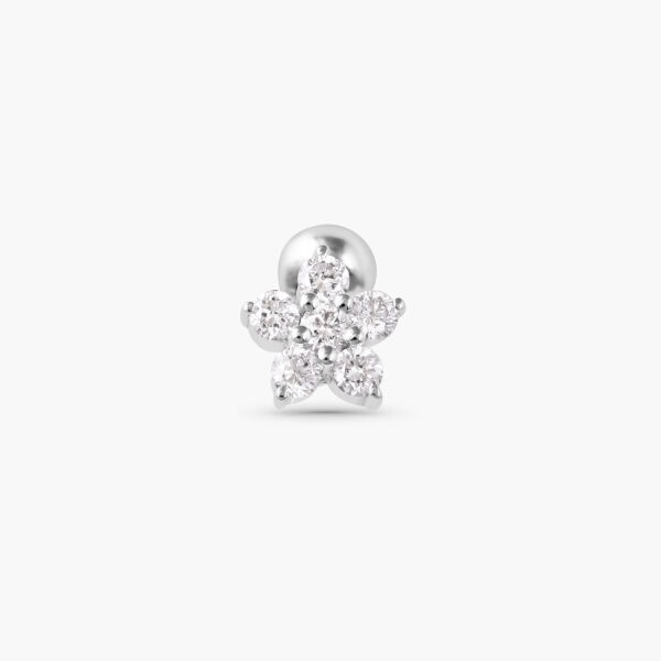 Bloom Rook Barbell