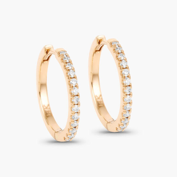 Half eternity hoop