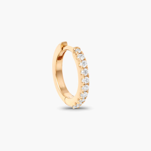 Half eternity hoop