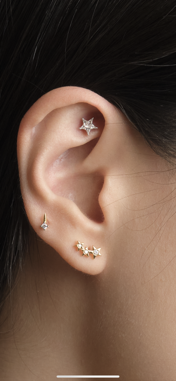 Mini pie cut star rook barbell