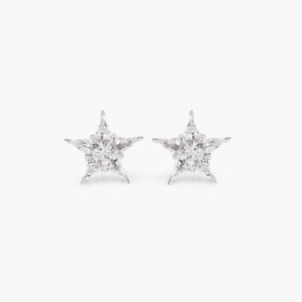 Pie cut star