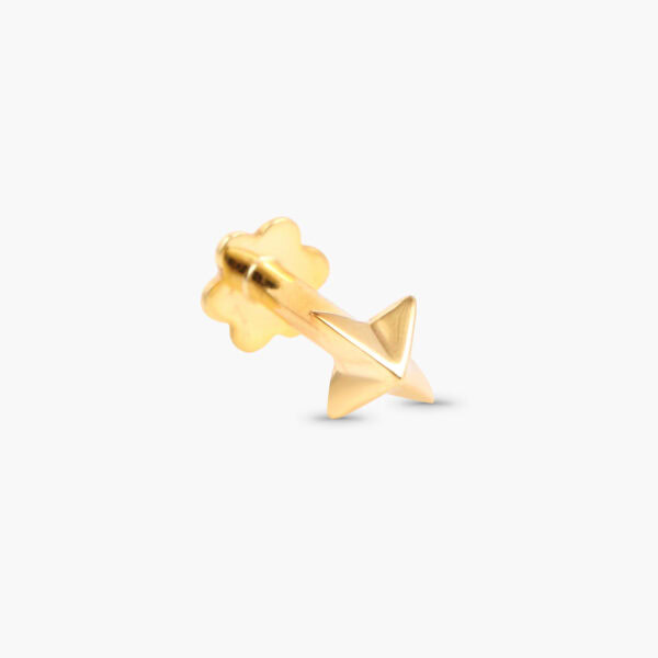 Sparkling star