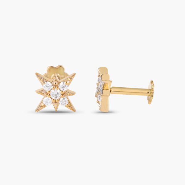Star octagram