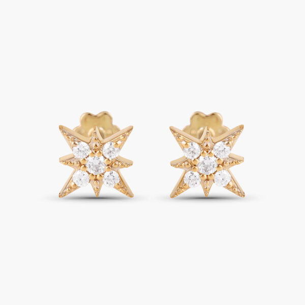 Star octagram