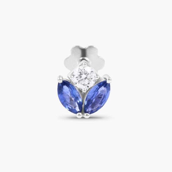 Tulip