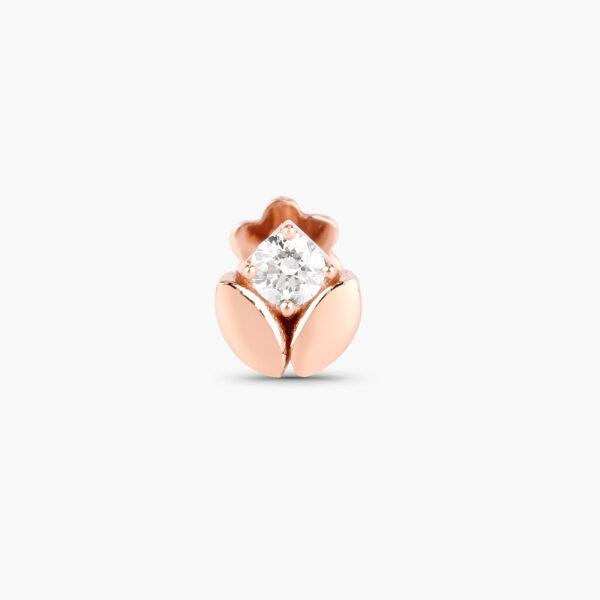 Tulip