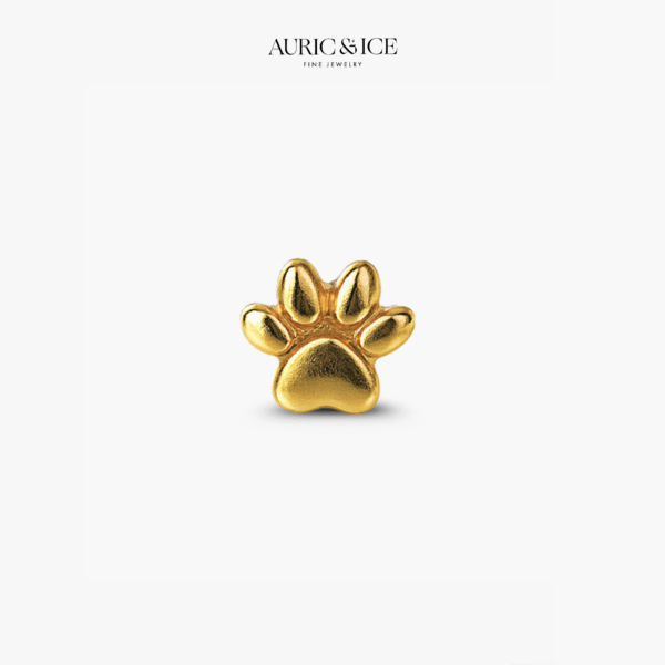 Little Paw